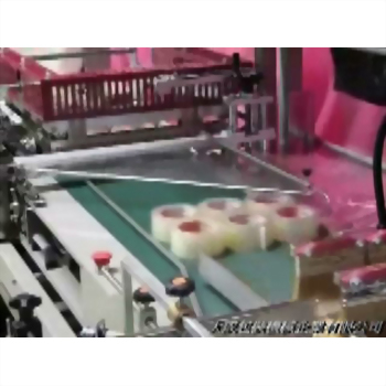 Adhesive tape packaging machine conveyor belt