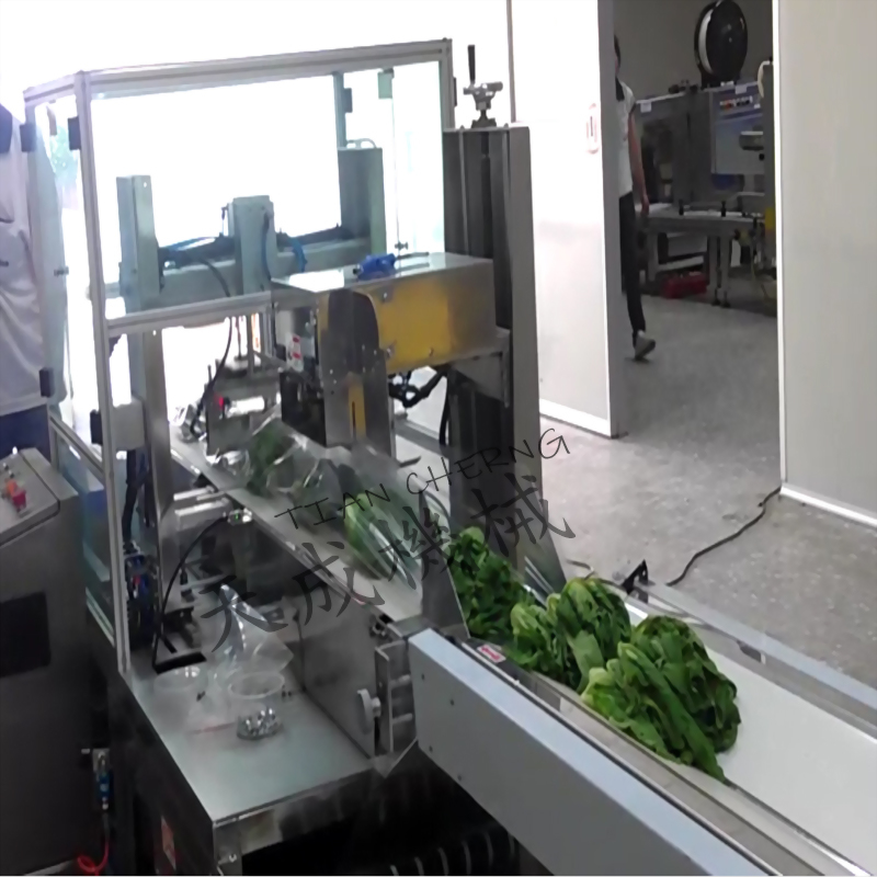 Automated vegetable packaging machine tian cheng