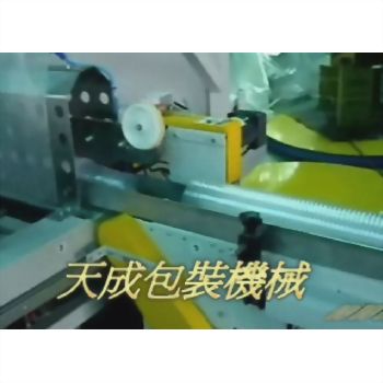 用於自動化產線的天成包裝機械。